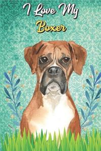 I Love My Boxer