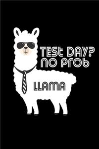 Test Day? No Prob-Llama !