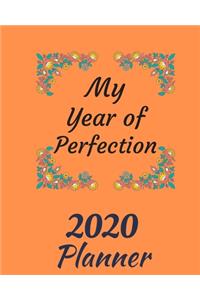 My Year of Perfection