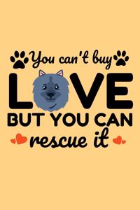 You Can't Buy Love But You can Rescue it