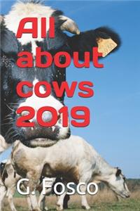 All about cows 2019