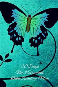 30 Days New Testament Bible Reading Plan