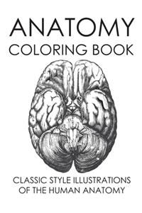 Anatomy Coloring Book