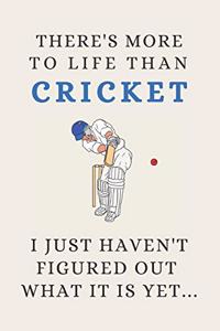 There's More To Life Than Cricket - I Just Haven't Figured Out What It Is Yet...