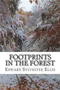 Footprints in the Forest