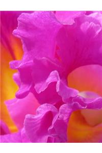 Orchid Flower Notebook - Wide Ruled