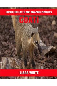 Coati