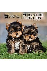 American Kennel Club Yorkshire Terriers 2018 Wall Calendar