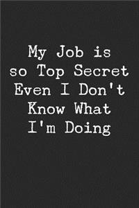 My Job Is Top Secret Even I Don't Know What I'm Doing