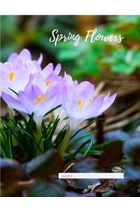 Spring Flowers