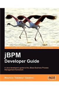 Jbpm Developer Guide