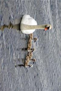 White Swan and her Chicks Journal