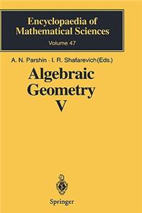 Algebraic Geometry V