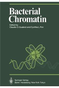 Bacterial Chromatin