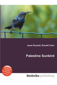 Palestine Sunbird