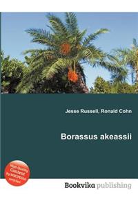 Borassus Akeassii