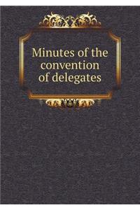 Minutes of the convention of delegates