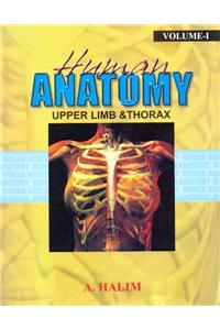 Upper Limb and Thorax: Human Anatomy, Volume I