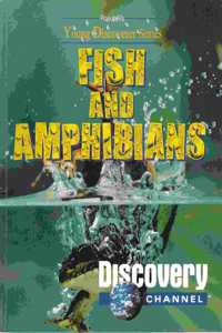 Fish And Amphibians