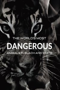 World's most DANGEROUS ANIMALS in Black and White