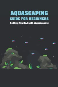 Aquascaping Guide for Beginners