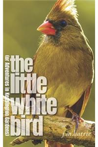 The Little White Bird or Adventures in Kensington Gardens