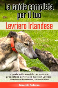 La Guida Completa per Il Tuo Levriero Irlandese