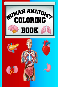 Human Anatomy Coloring Book