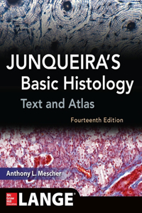 Junqueiras Basic Histology 14e