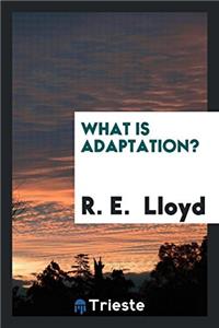WHAT IS ADAPTATION?