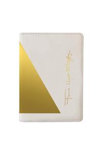 Frank Lloyd Wright Geometry Passport Cover