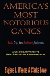 America's Most Notorious Gangs: A Concise Approach to Gang Prevention and Awareness