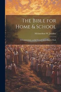 Bible for Home & School