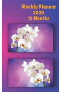 Weekly Planner 2020 12 Months