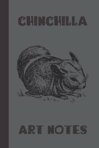 chinchilla art notes