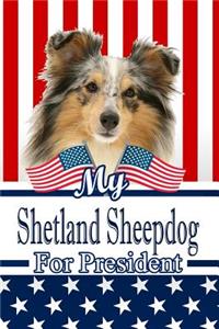 My Shetland Sheepdog for President