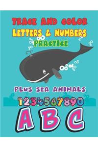 Trace and Color Letters & Numbers Plactice Plus Sea Animals