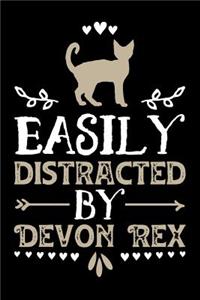Easily Distracted by Devon Rex