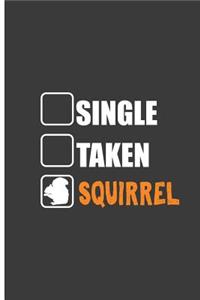 Single Taken Squirrel