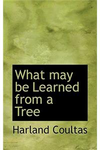 What May Be Learned from a Tree