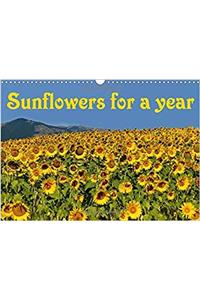 Sunflowers for a Year 2018