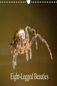 Eight-Legged Beauties 2018