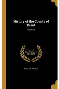 History of the County of Brant; Volume 1