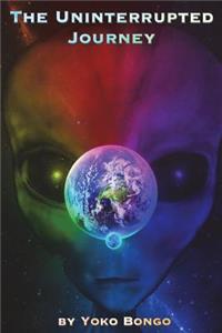 Palindrome: The Uninterrupted Journey