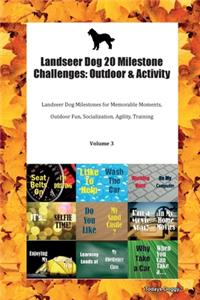 Landseer Dog 20 Milestone Challenges