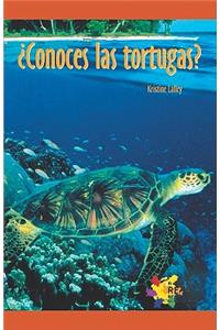 Conoces Las Tortugas