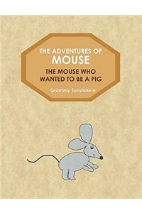 The Adventures of Mouse