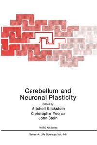 Cerebellum and Neuronal Plasticity