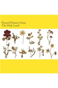 Pressed Flowers From The Holy Land
