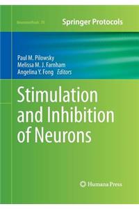 Stimulation and Inhibition of Neurons